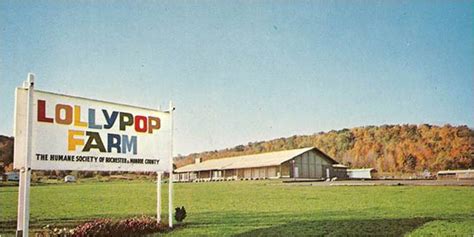 Lollypop Farm | 150 Years