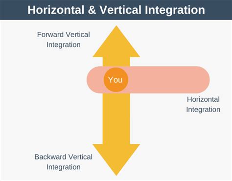 Horizontal vs. Vertical Integration Explained