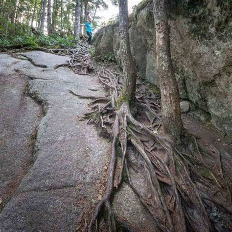 The Chief Hike - Squamish's most epic challenge — Walk My World