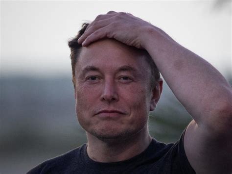 Elon Musk has 'worked every day to find new and creative ways to screw ...