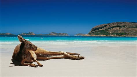 Discover more than 137 australia beach hd wallpaper - vova.edu.vn