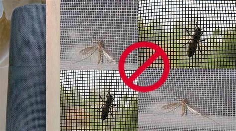 Fiberglass Insect Screen Mesh | Insect Screen Singapore