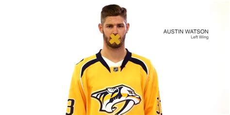 Predators' Austin Watson got 3 months probation for domestic assault ...