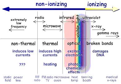 Radiation Protection Section