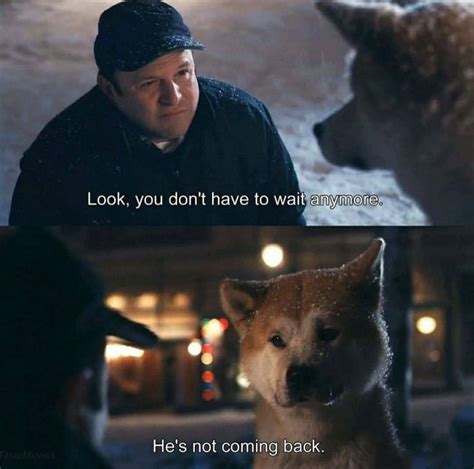 Hachi: A Dog’s Tale (2009) | Movie quotes, Relaxing songs, Moments quotes