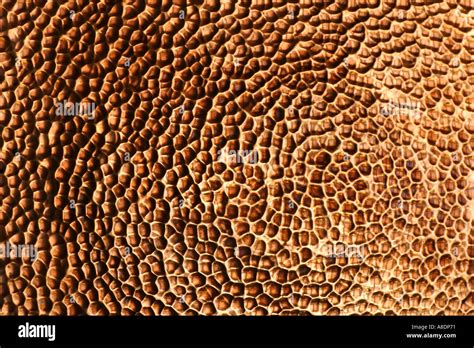 Pattern in a copper sheet Stock Photo - Alamy