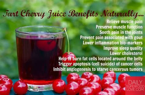 Myth vs Fact – Do Tart Cherry Juice Benefits Deliver? | Cherry juice ...