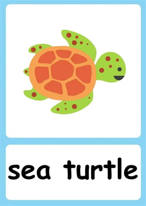 Sea Animal flashcards + FREE Jungle background