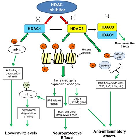 Pharmaceuticals | Special Issue : HDAC Inhibitors 2014