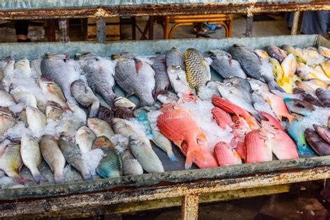 Different Fish on Fish Market in a Hurghada City, Egypt Stock Photo - Image of closeup, cooking ...