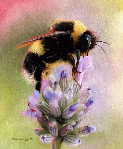 Bumble Bee Poster featuring the painting Bumble Bee by Sarah Stribbling | Hayvan fotoğrafçılığı ...