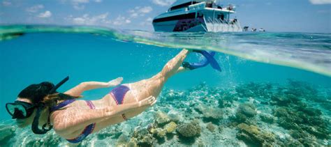 Great Barrier Reef Tours - Travellers Oasis