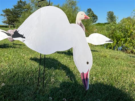 Snow Goose Decoys