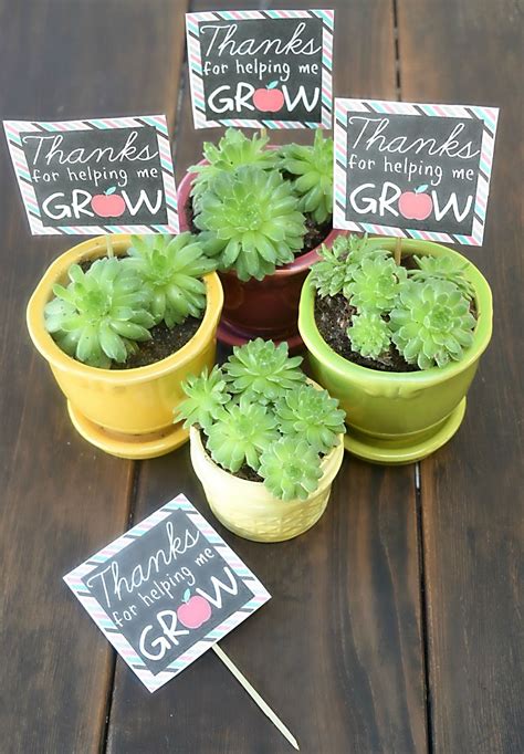 A succulent plant with a printable label, "Thanks for helping me grow." Succulent Images ...