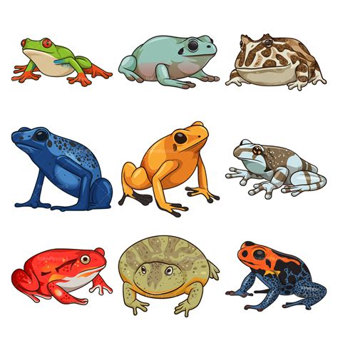 Semi-Realistic Frogs Clipart Vector Collection FriendlyStock | lupon.gov.ph