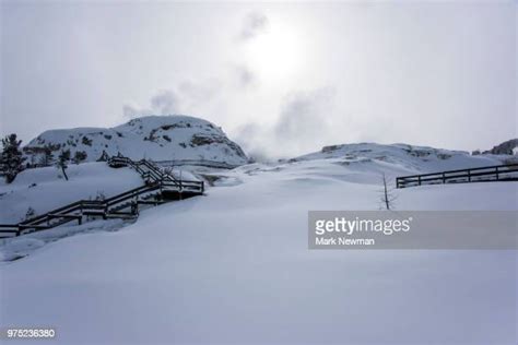 270 Mammoth Hot Springs Winter Stock Photos, High-Res Pictures, and ...