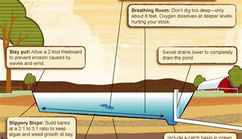 Infographic: Aquaculture Pond Construction - Hobby Farms