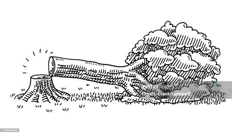 Broken Tree Environmental Damage Drawing High-Res Vector Graphic ...