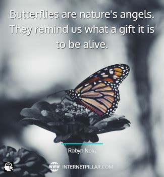 23 Butterfly Effect Quotes and Sayings for Inspiration