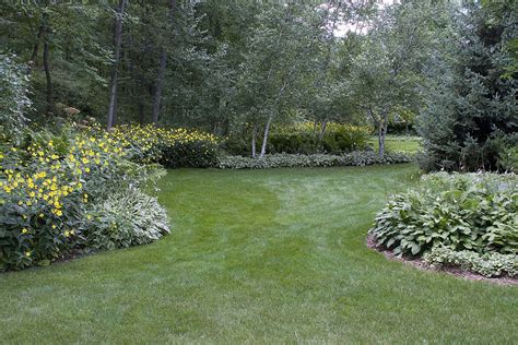 Lawn Seeding & Sodding – Schmalz Custom Landscaping & Garden Center, Inc.