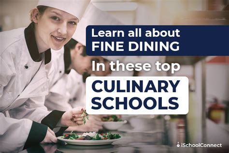 Best Culinary Schools in the World - Top Education News Feed in Nigeria Today