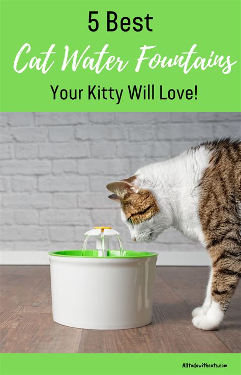 Top 4 Best Water Fountains For Cats (And Why Your Kitty Needs One) in ...