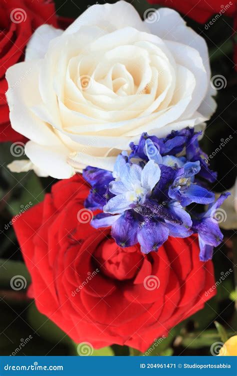 Red White and Blue Wedding Flowers Stock Image - Image of centerpiece ...