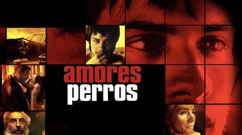 Amores Perros español Latino Online Descargar 1080p