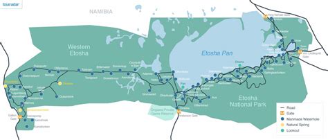 Etosha Maps: Location, Waterholes & Road Map - TourRadar