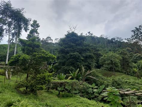 La Maná apunta al turismo comunitario y de naturaleza; agrega obras ...