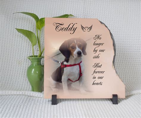 Pet loss gift pet memorial gift Dog loss Pet Sympathy Gift