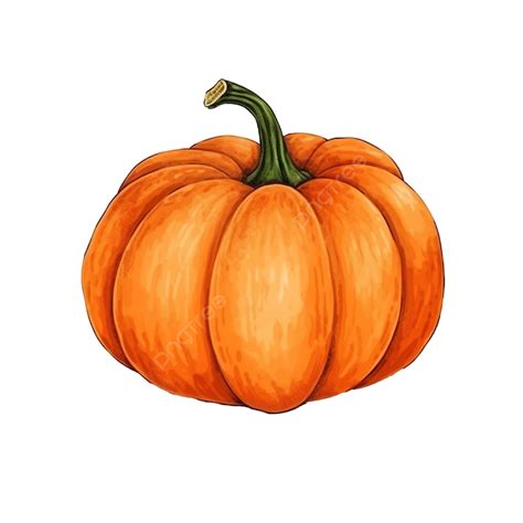 Hand Drawn Pumpkin For Thanksgiving Day Celebration, Thanksgiving Card, Thanksgiving Background ...