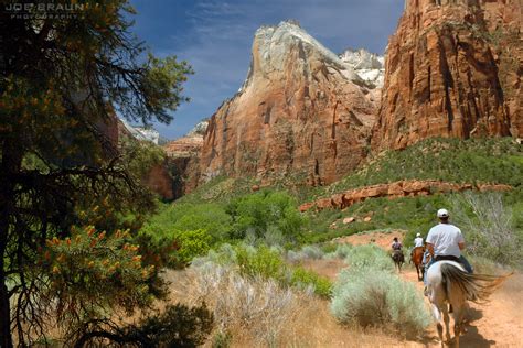 Joe's Guide to Zion National Park - The Sand Bench Trail Photographs