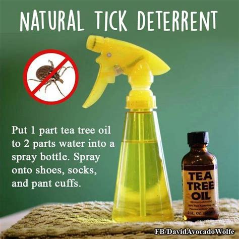 Best All Natural Tick Repellent For Dogs