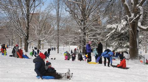 20 Ways to Enjoy Winter in Central Park | Central Park Conservancy