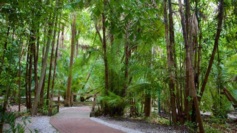 Sarasota Jungle Gardens in Sarasota, Florida | Expedia.ca