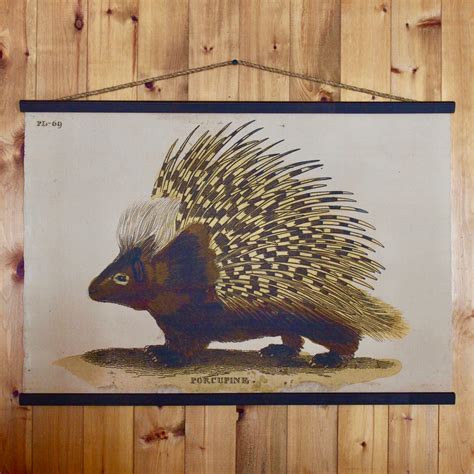 Porcupine Wall Chart | Rustic Adirondack Decor – Dartbrook Rustic Goods