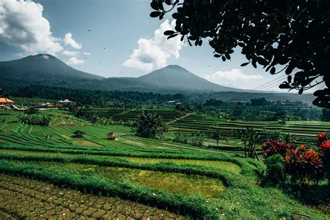 Gambar : dataran tinggi, gunung, pemandangan alam, langit, bidang, Stasiun bukit, perkebunan ...