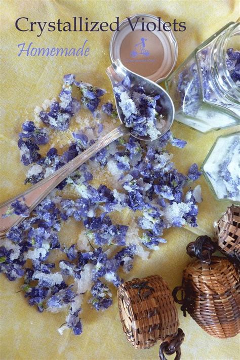 Homemade Candied Violets Recipe - Your Guardian Chef