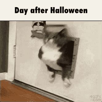 Day After Halloween Fat GIF - DayAfterHalloween Fat Halloween ...