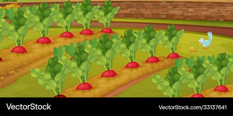 Carrot farm with little bird nature scene Vector Image