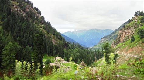 Kishtwar National Park - History, Location, Details, Ticket Price, Timings | Adotrip