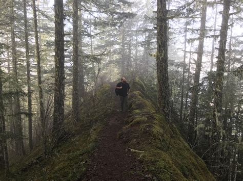 Hiking Mount Storm King in Olympic National Forest in Washington. Absolutely mesmerizing. : r ...