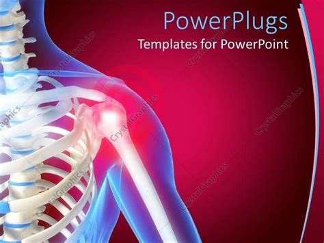 Anatomy Slides Template