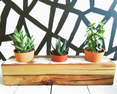 Handmade reclaimed wood succulent planter tray by Samsqwatch