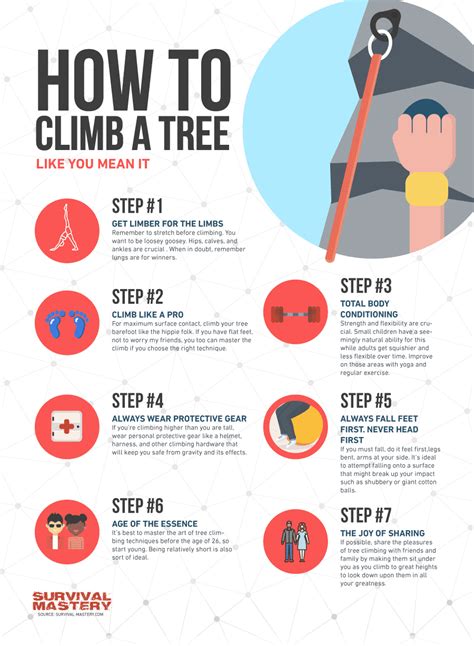 How To Climb A Tree: Different Methods for A Demanding Activity