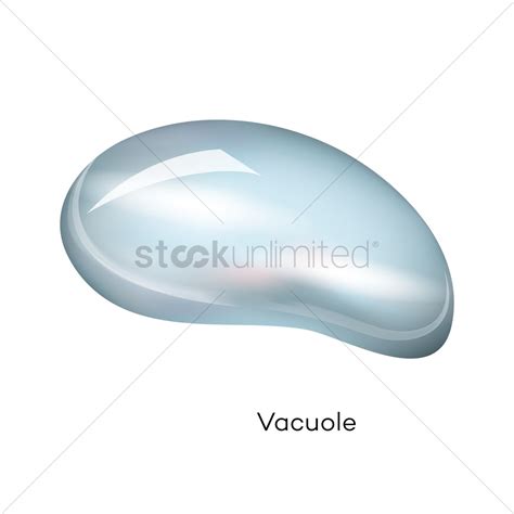 cliparts vacuole - Clip Art Library