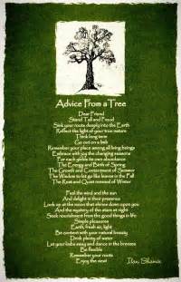 My Love Of Trees - bmindful forum