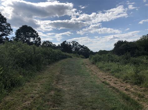 Fox Meadow Trail - Maryland | AllTrails