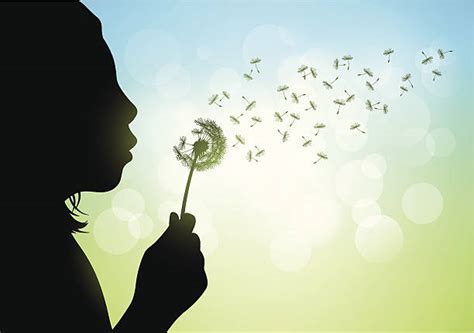 Blowing Dandelion Illustrations, Royalty-Free Vector Graphics & Clip ...